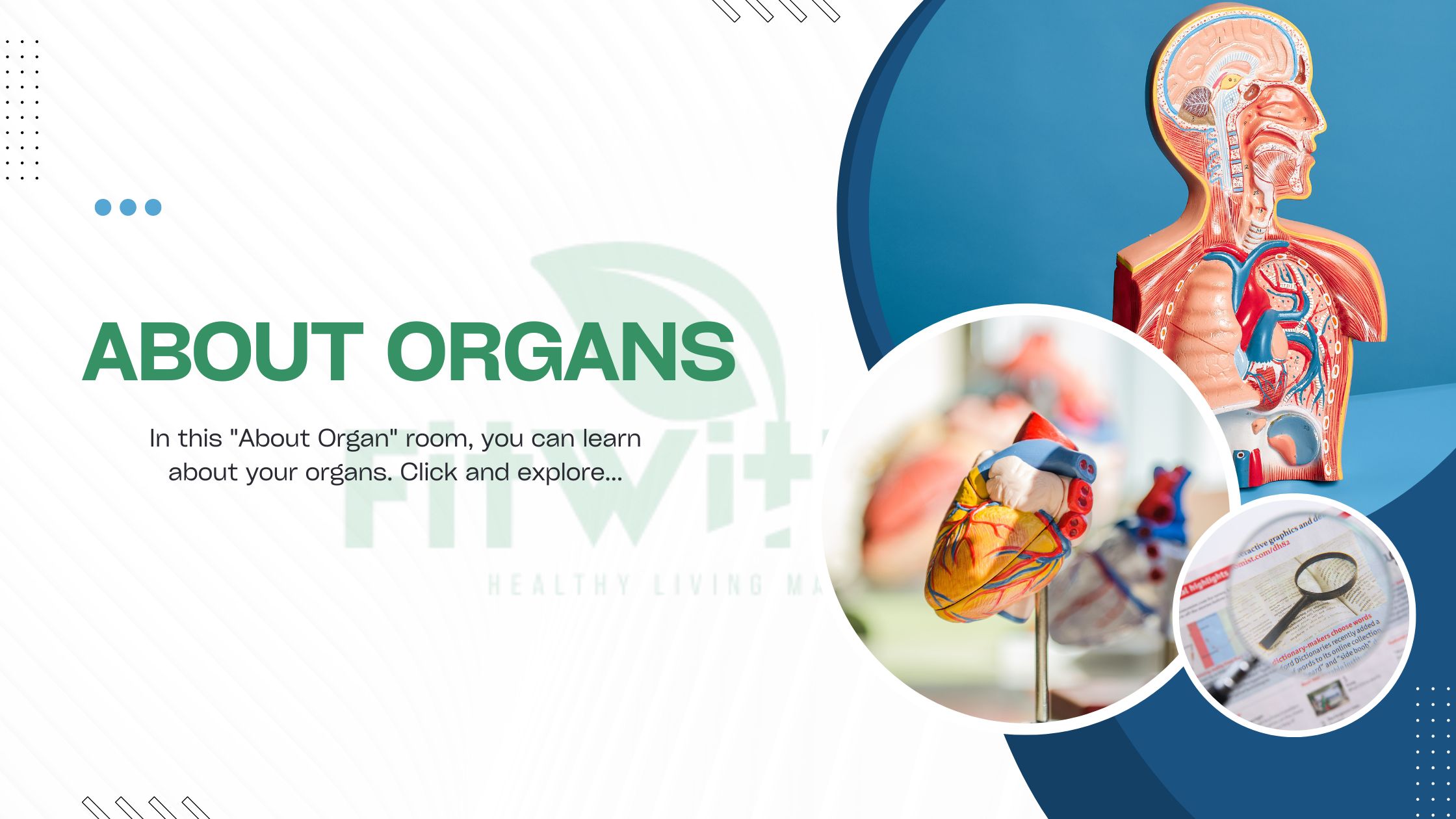 About Organs