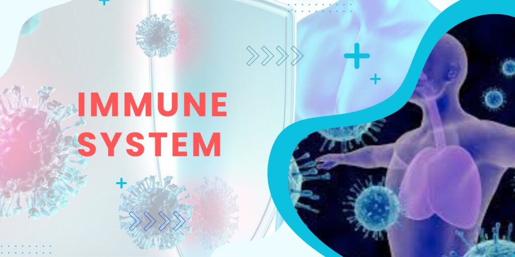Immune system illustration showing body defense cells and protection concept