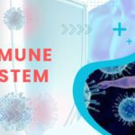 Immune system illustration showing body defense cells and protection concept